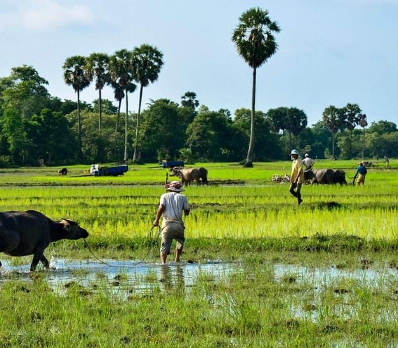 Immerse in Kampong Cham’s vibrant eco-heritage